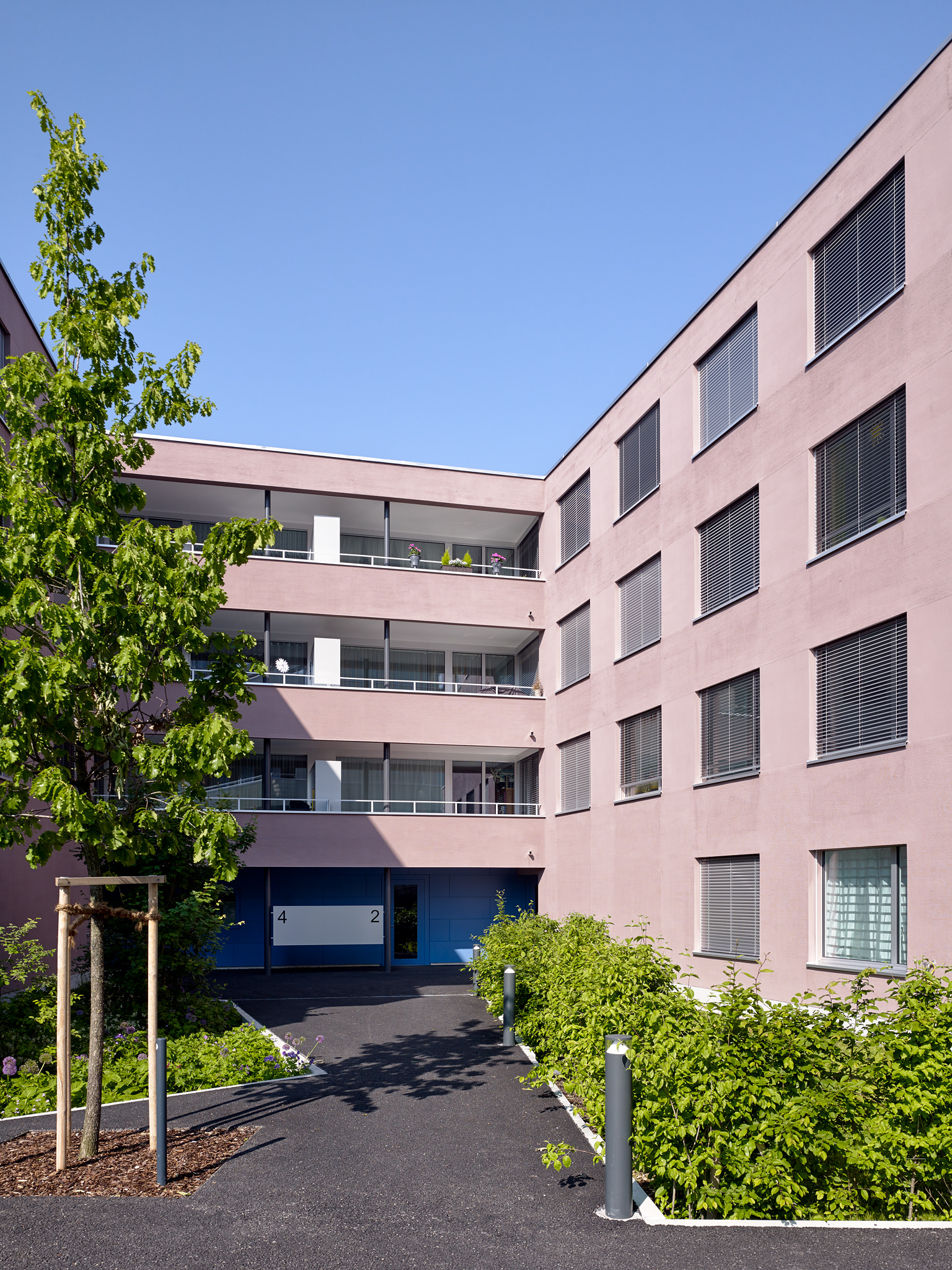 E15551 Alpa 051006 SCREEN